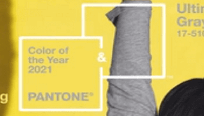 2021 m. “Pantone” spalvos